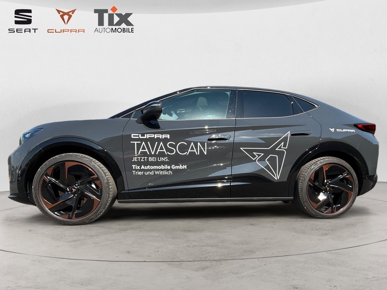 Fahrzeugabbildung CUPRA Tavascan 210 kW Endu./HUD/PANO/SENNH.