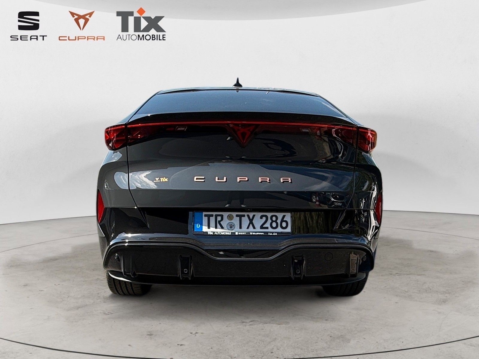 Fahrzeugabbildung CUPRA Tavascan 210 kW Endu./HUD/PANO/SENNH.