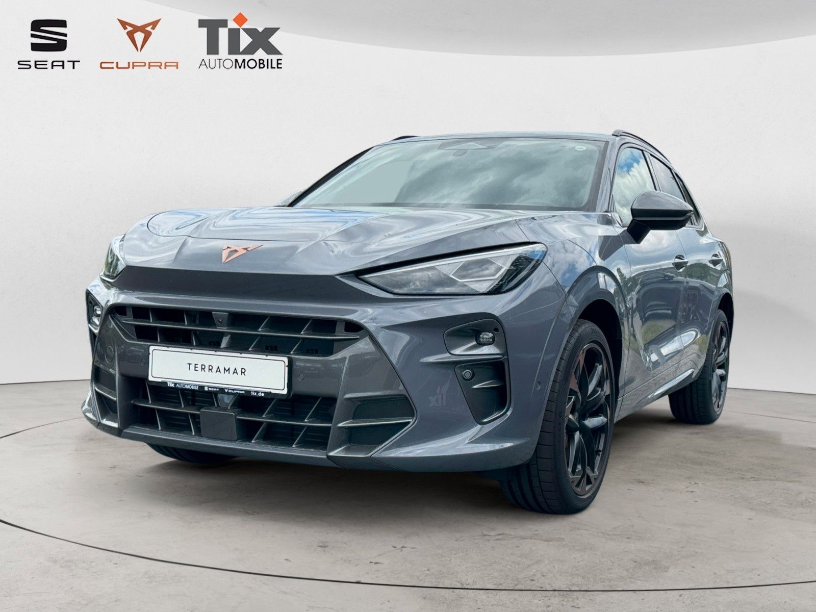 CUPRA Terramar VZ 2.0 TSI DSG 4D Pano/Akebone/Matrix