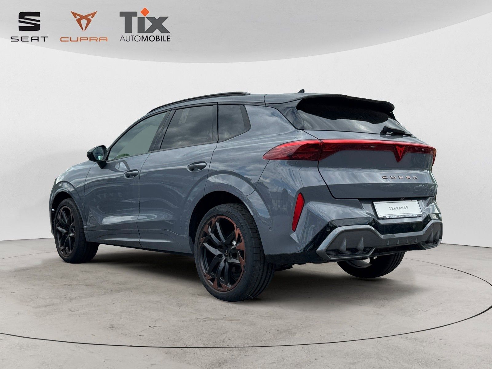 Fahrzeugabbildung CUPRA Terramar VZ 2.0 TSI DSG 4D Pano/Akebone/Matrix