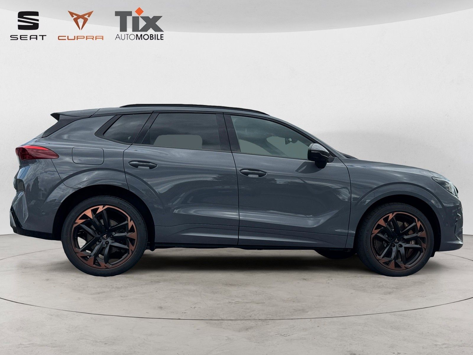 Fahrzeugabbildung CUPRA Terramar VZ 2.0 TSI DSG 4D Pano/Akebone/Matrix