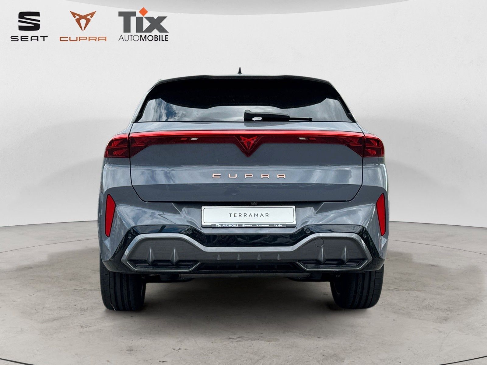 Fahrzeugabbildung CUPRA Terramar VZ 2.0 TSI DSG 4D Pano/Akebone/Matrix