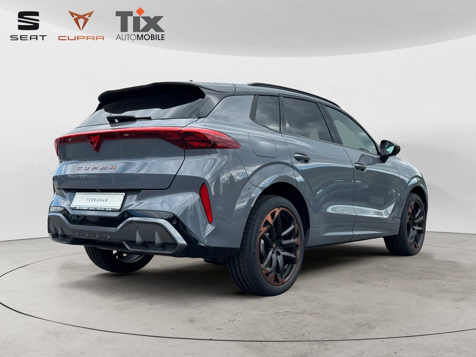 Fahrzeugabbildung CUPRA Terramar VZ 2.0 TSI DSG 4D Pano/Akebone/Matrix