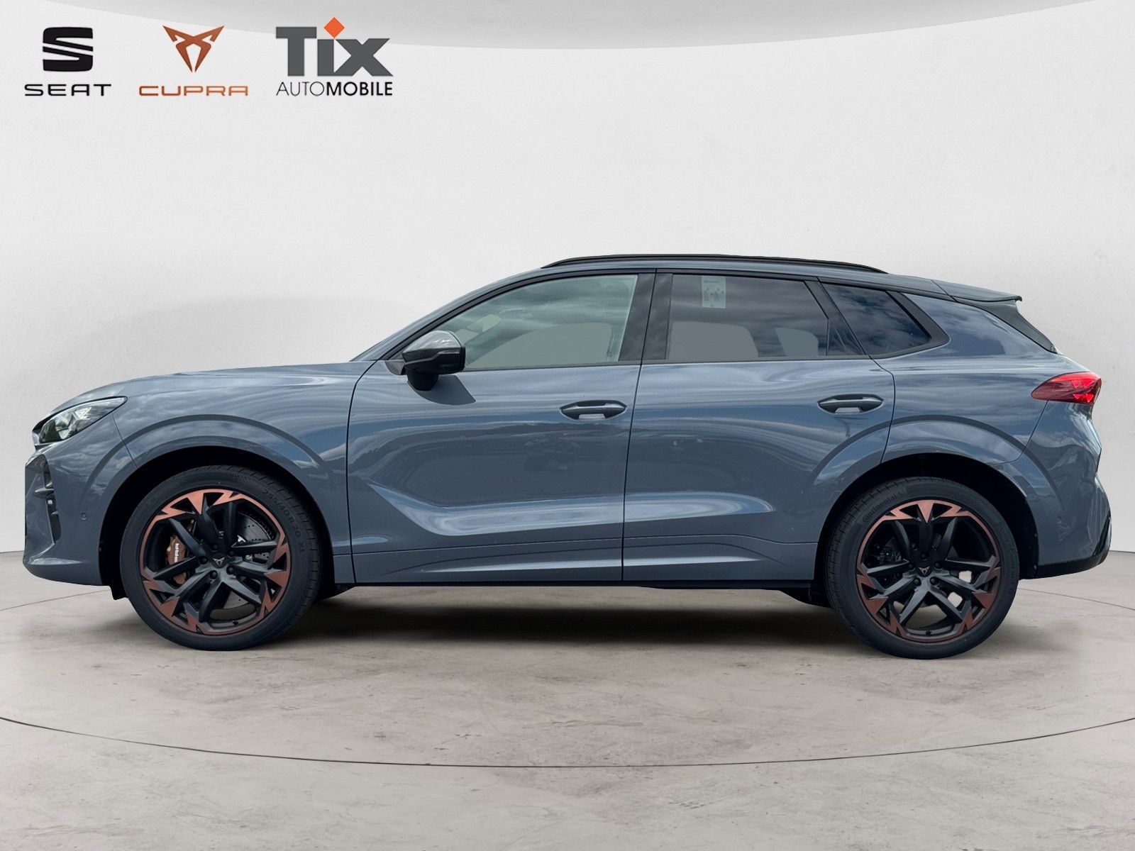 Fahrzeugabbildung CUPRA Terramar VZ 2.0 TSI DSG 4D Pano/Akebone/Matrix