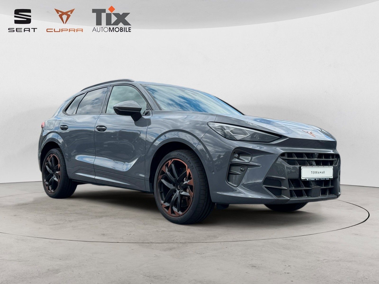 Fahrzeugabbildung CUPRA Terramar VZ 2.0 TSI DSG 4D Pano/Akebone/Matrix