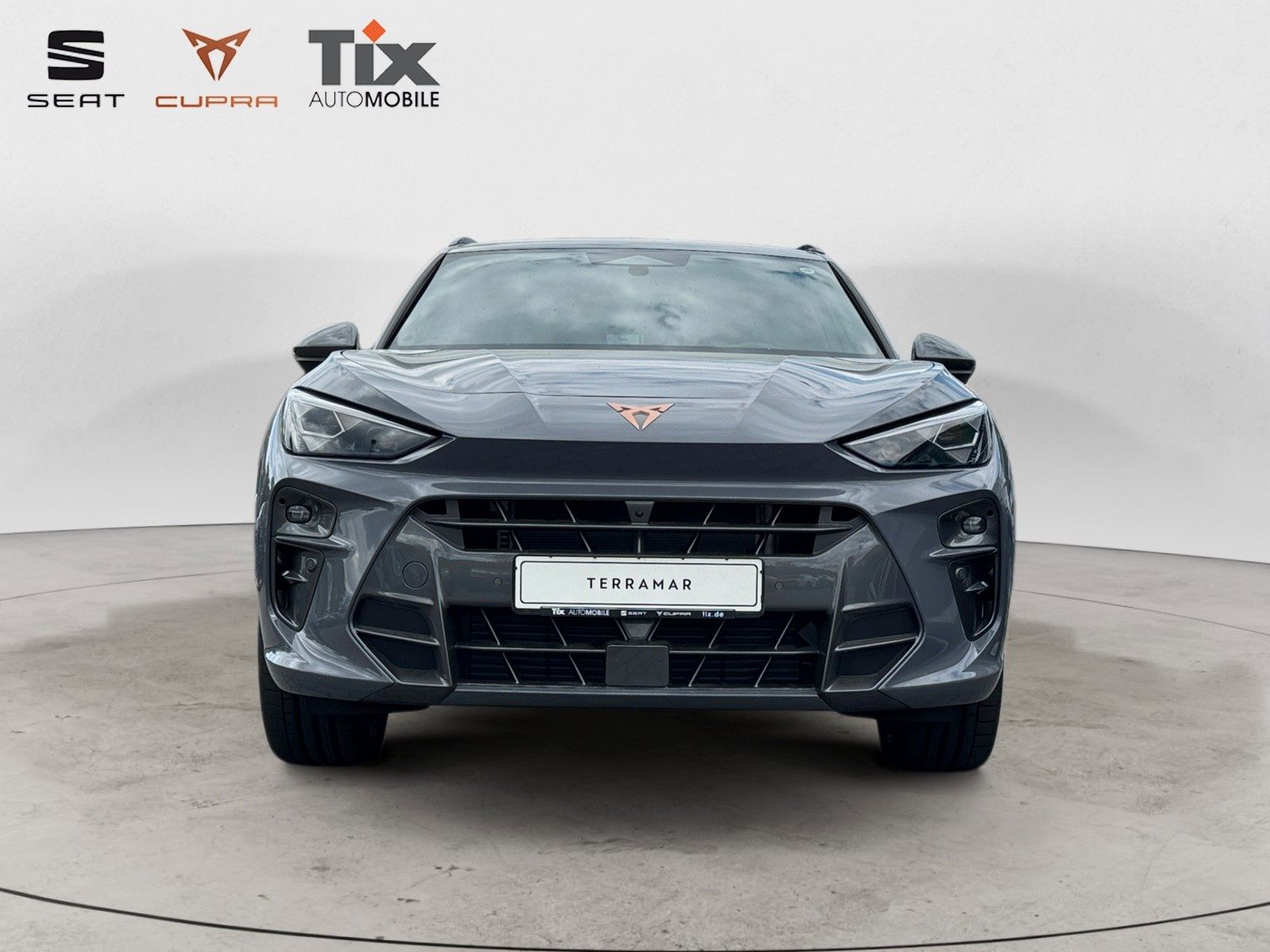 Fahrzeugabbildung CUPRA Terramar VZ 2.0 TSI DSG 4D Pano/Akebone/Matrix