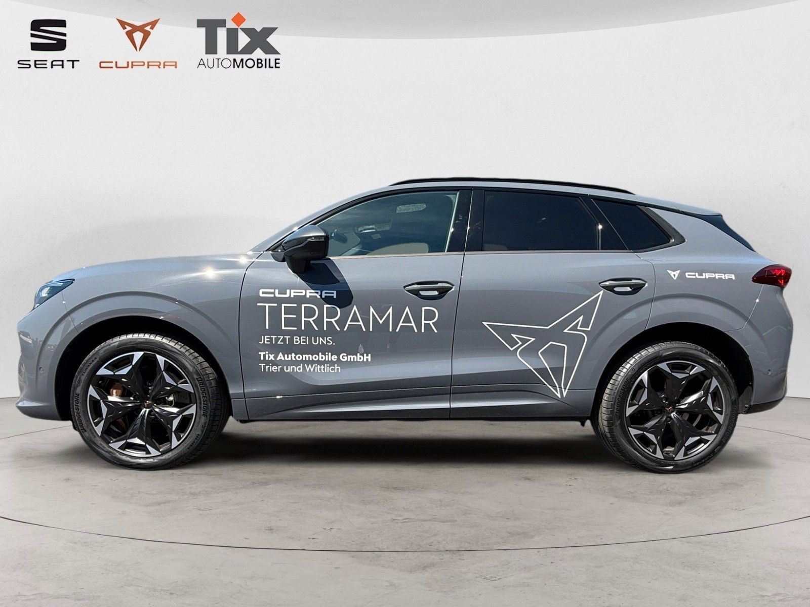 Fahrzeugabbildung CUPRA Terramar 2.0TSI VZ DSG 4D/MATRIX/SENNHEISER/Pano