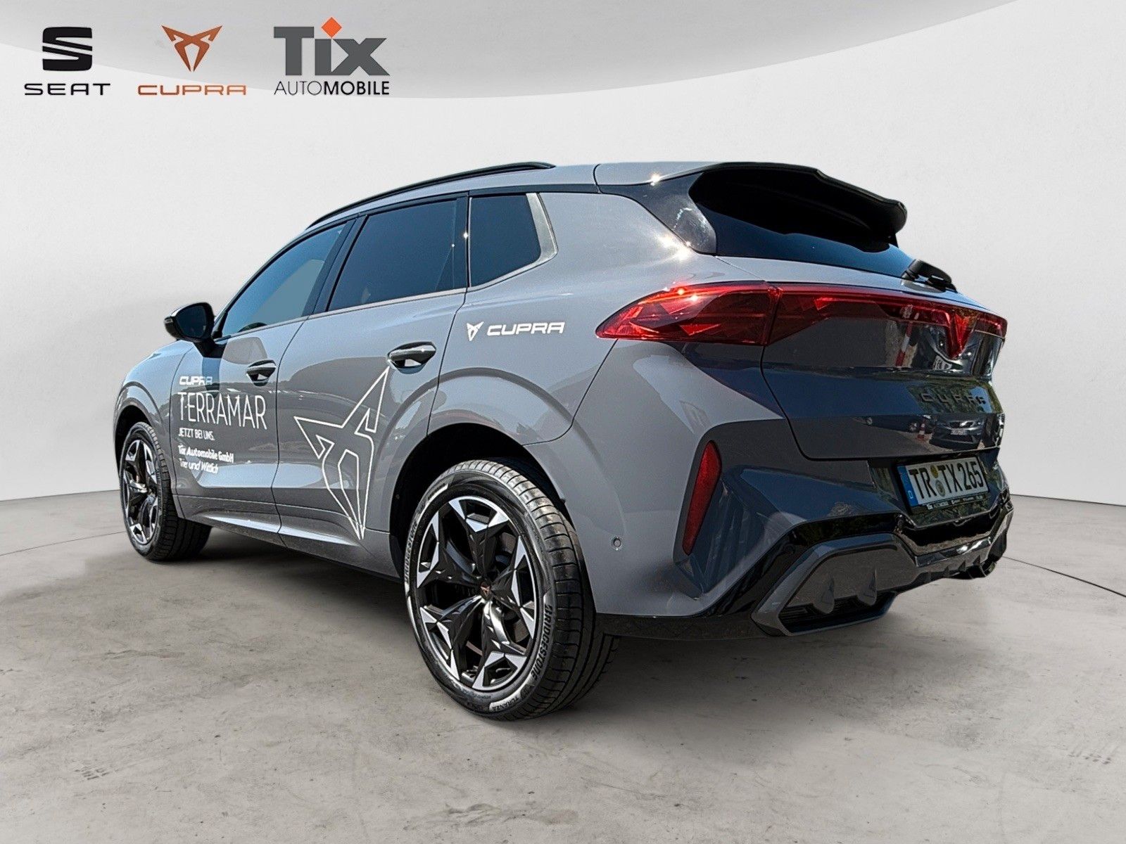 Fahrzeugabbildung CUPRA Terramar 2.0TSI VZ DSG 4D/MATRIX/SENNHEISER/Pano