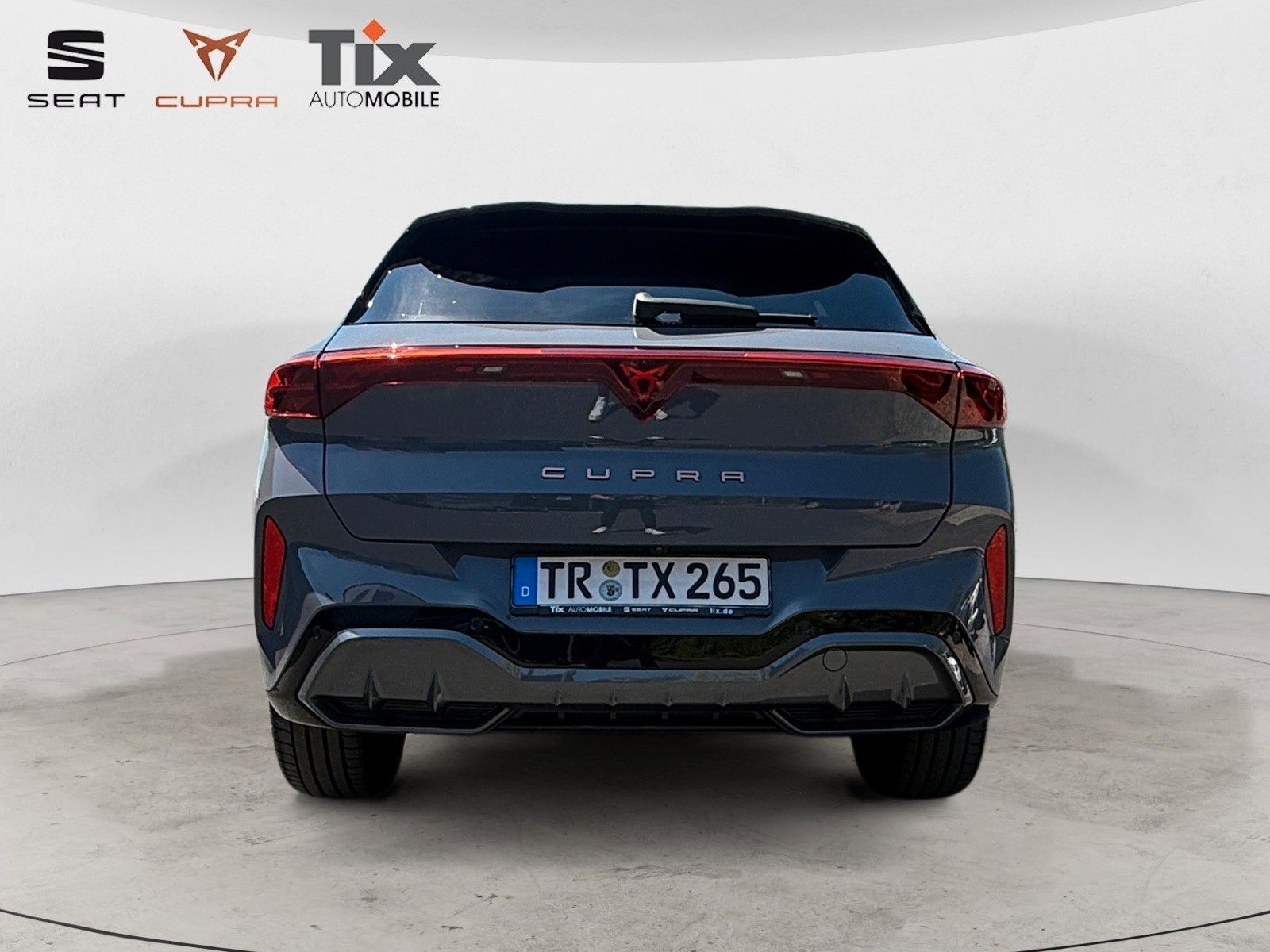Fahrzeugabbildung CUPRA Terramar 2.0TSI VZ DSG 4D/MATRIX/SENNHEISER/Pano