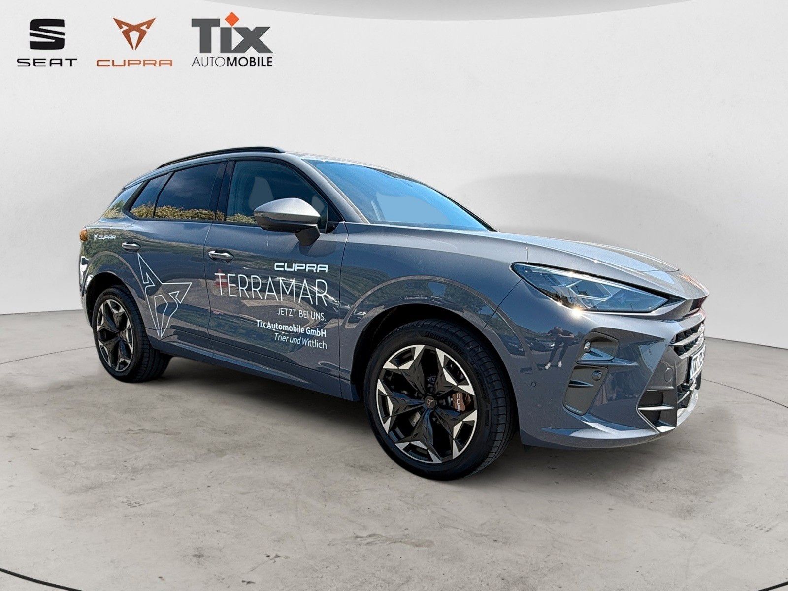 Fahrzeugabbildung CUPRA Terramar 2.0TSI VZ DSG 4D/MATRIX/SENNHEISER/Pano