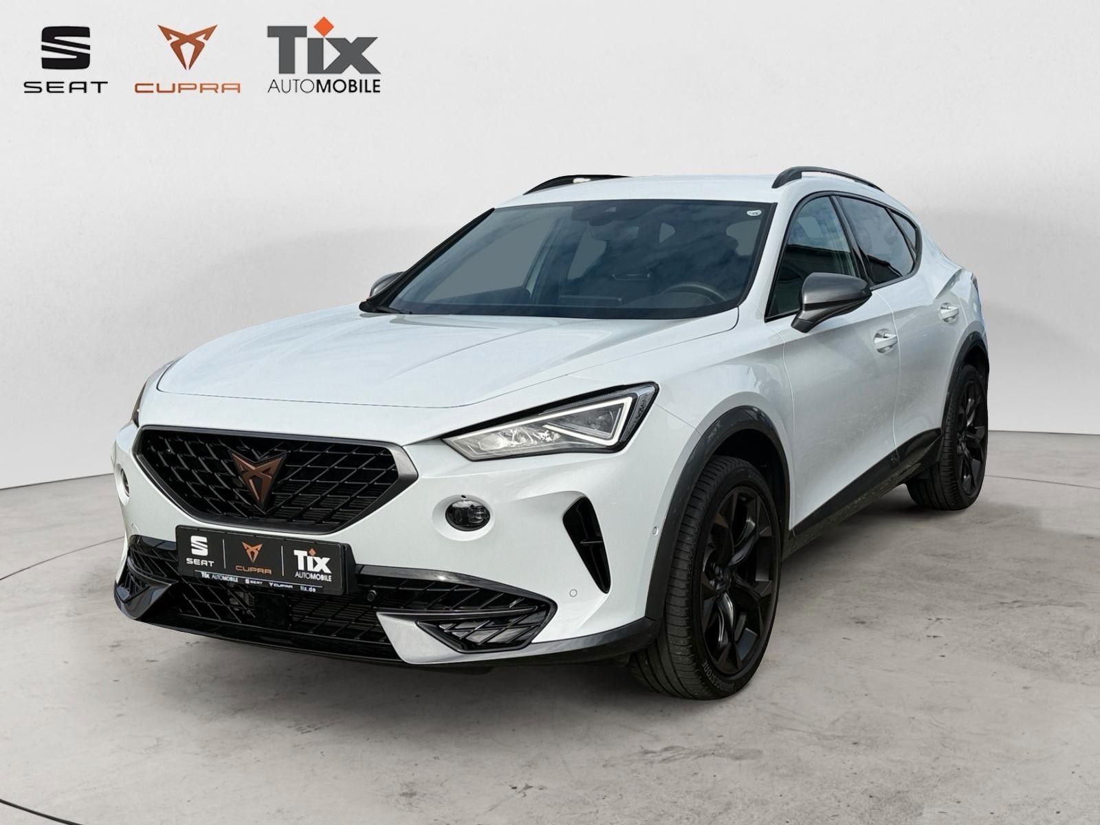 CUPRA Formentor Formentor 1.5 TSI DSG AHK/Kamera/el.Sitzverstell