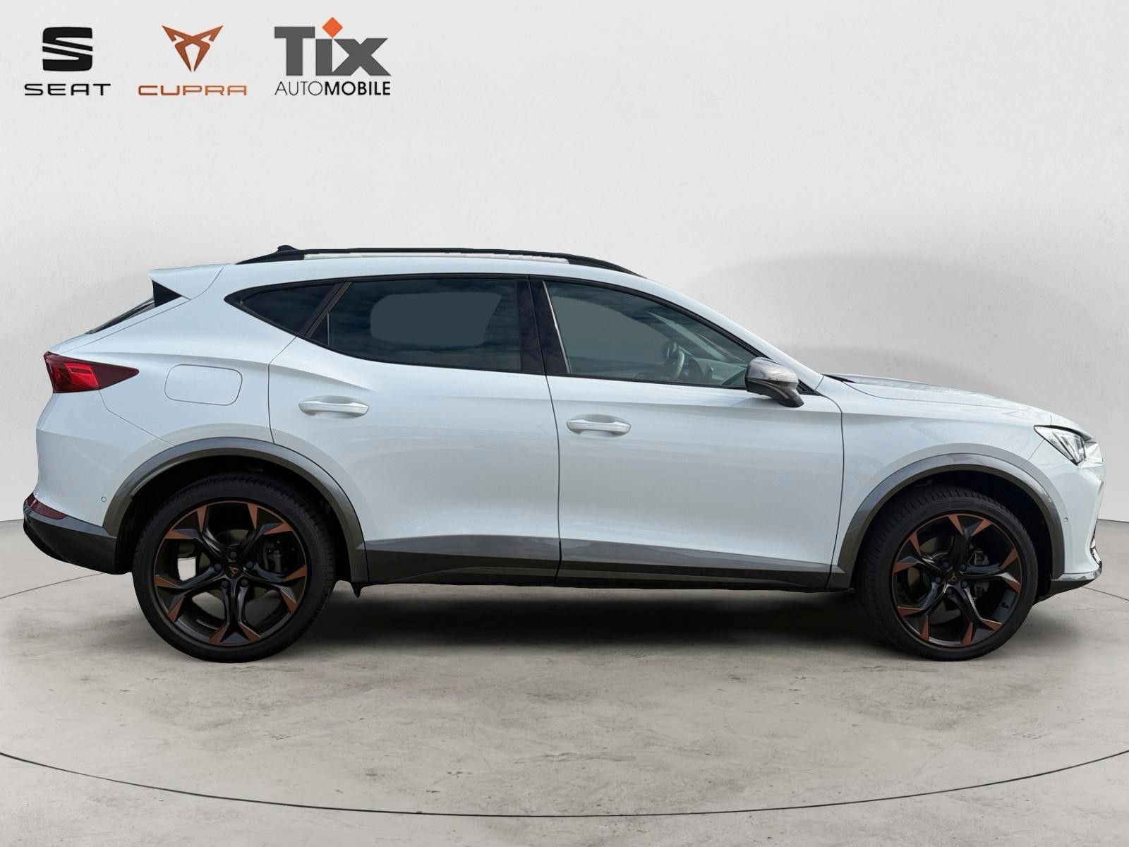 Fahrzeugabbildung CUPRA Formentor 1.5 TSI DSG AHK/Kamera/el.Sitzverstell