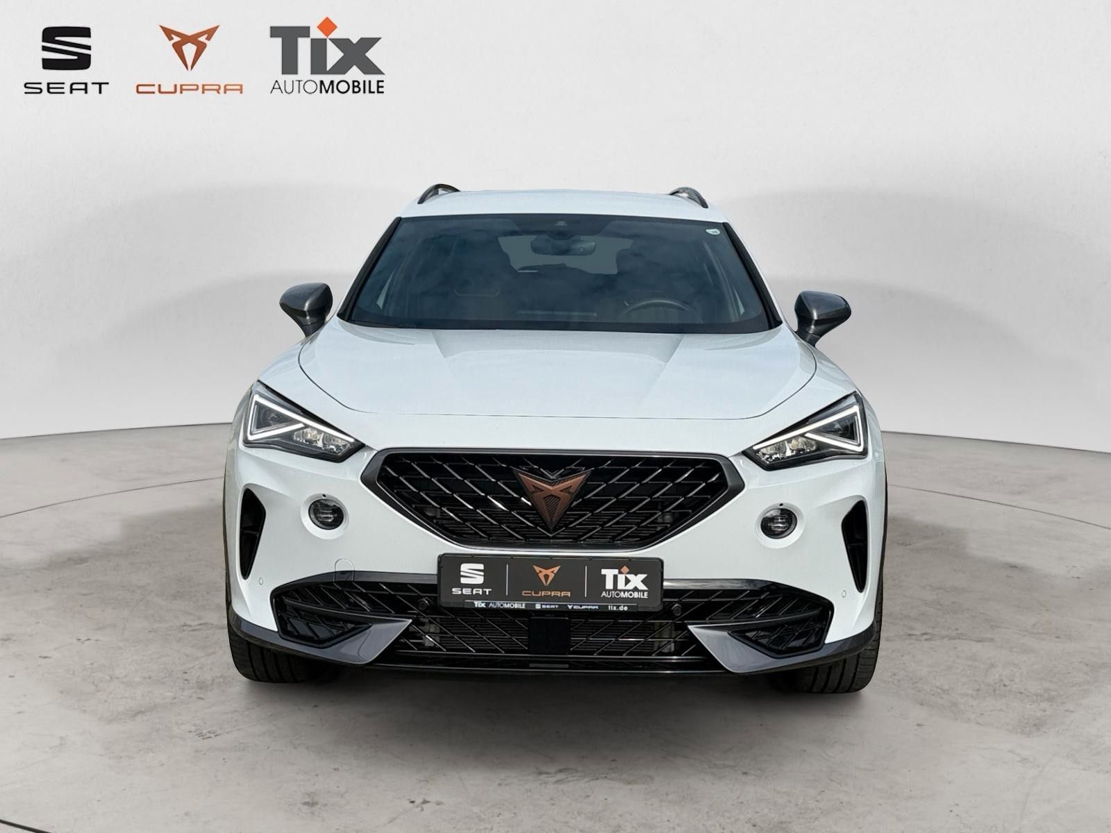 Fahrzeugabbildung CUPRA Formentor 1.5 TSI DSG AHK/Kamera/el.Sitzverstell