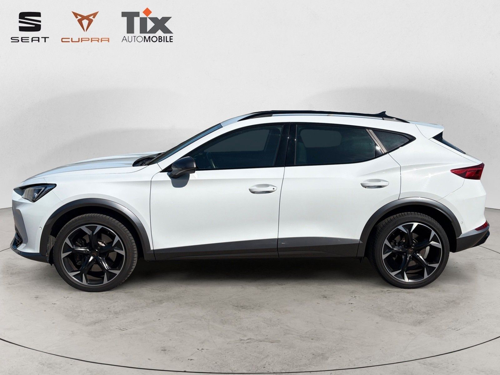 Fahrzeugabbildung CUPRA Formentor VZ 2.0 TSI 4Drive DSG 1.HD/AHK/360°Kam