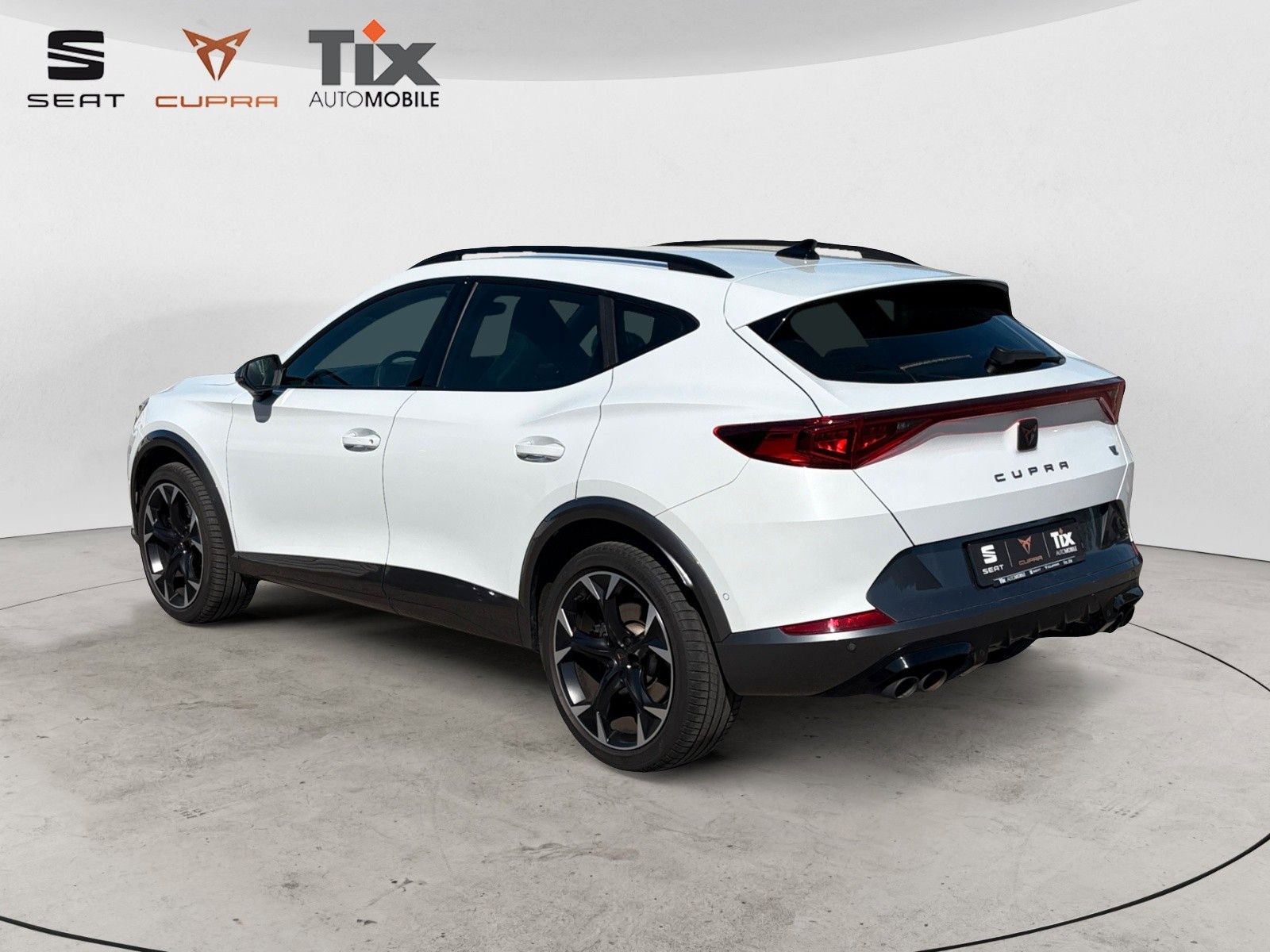 Fahrzeugabbildung CUPRA Formentor VZ 2.0 TSI 4Drive DSG 1.HD/AHK/360°Kam