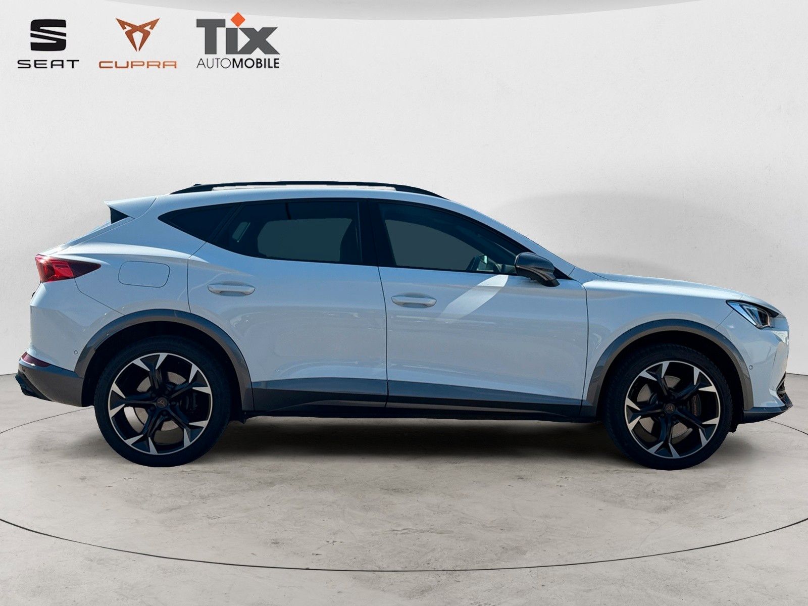 Fahrzeugabbildung CUPRA Formentor VZ 2.0 TSI 4Drive DSG 1.HD/AHK/360°Kam