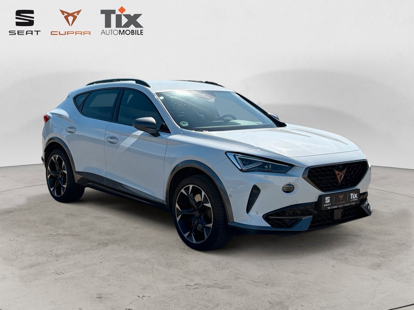 Fahrzeugabbildung CUPRA Formentor VZ 2.0 TSI 4Drive DSG 1.HD/AHK/360°Kam
