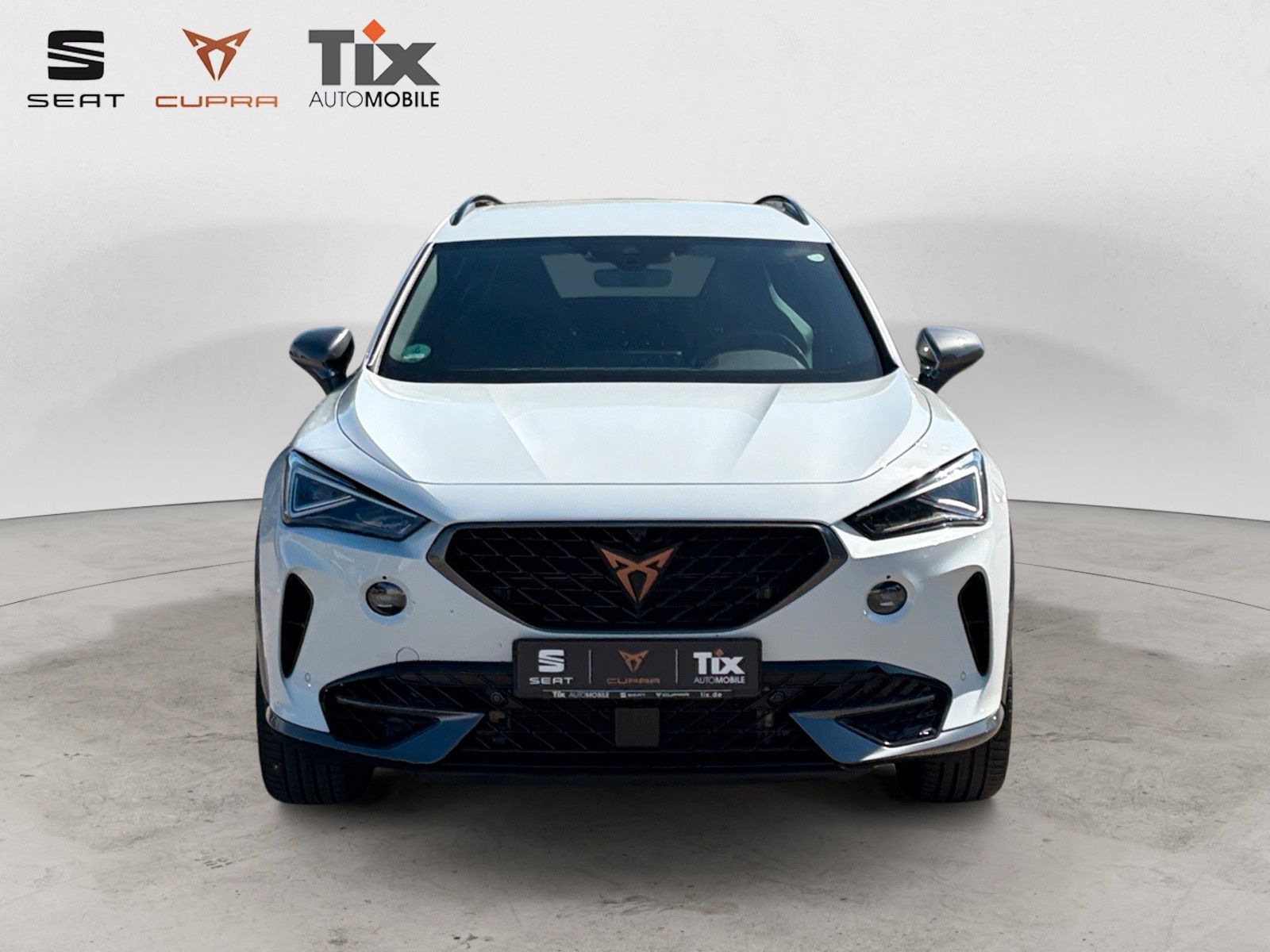 Fahrzeugabbildung CUPRA Formentor VZ 2.0 TSI 4Drive DSG 1.HD/AHK/360°Kam