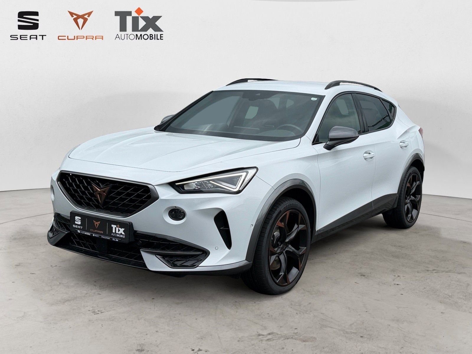 CUPRA Formentor VZ 2.0 TSI DSG 1.HD/AHK/Kamera