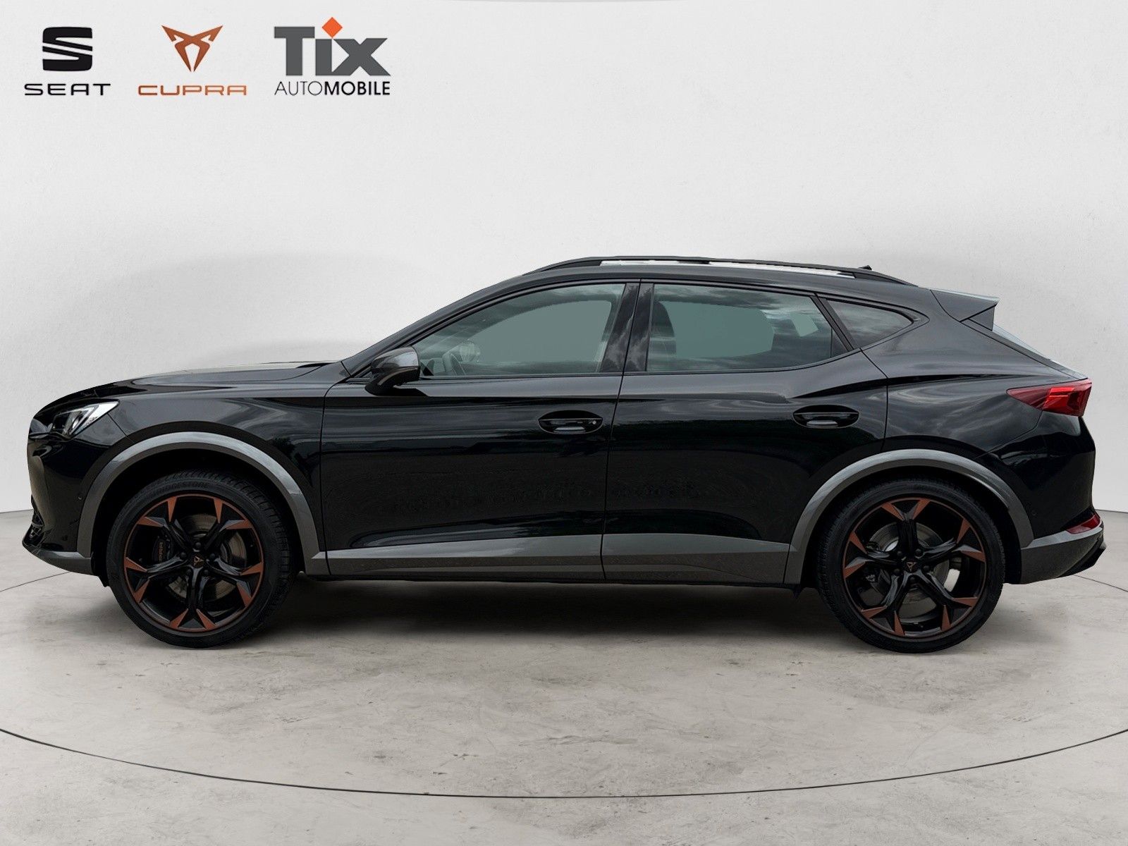 Fahrzeugabbildung CUPRA Formentor VZ 2.0 TSI DSG 4Drive 1.HD/360°/Navi