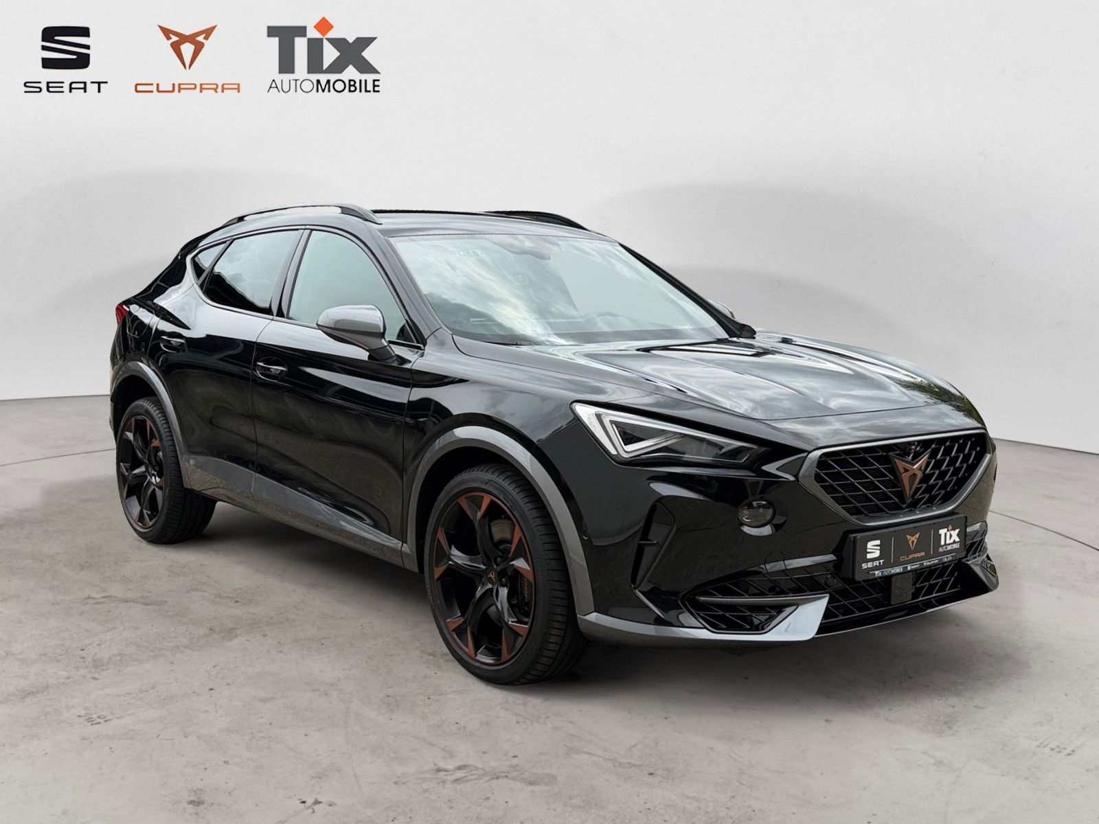 Fahrzeugabbildung CUPRA Formentor VZ 2.0 TSI DSG 4Drive 1.HD/360°/Navi