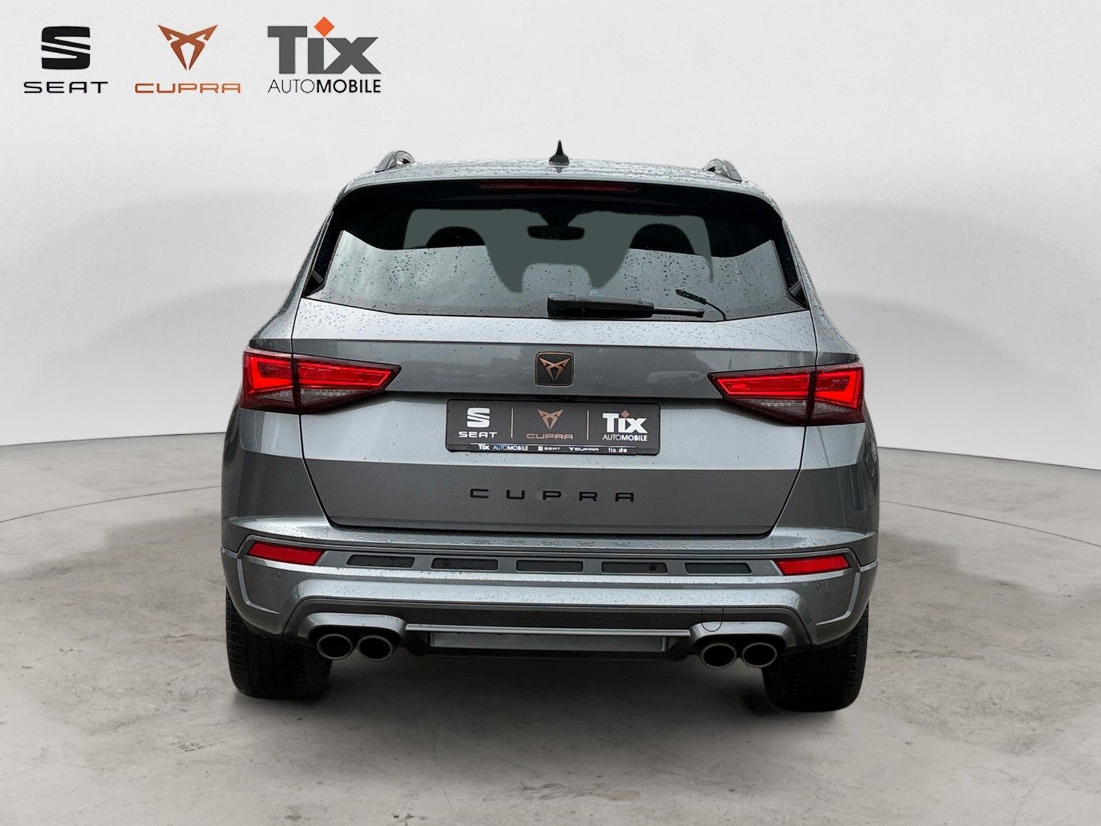 Fahrzeugabbildung CUPRA Ateca 2.0 TSI DSG 4Drive 1.HD/AHK/el.Heckkl/360°