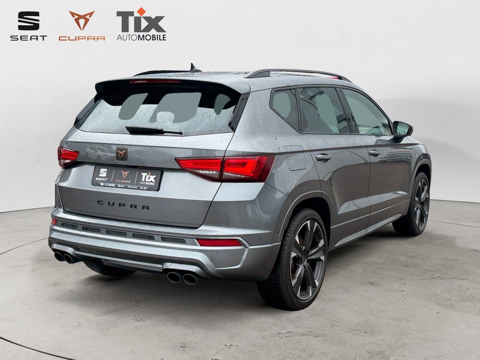 Fahrzeugabbildung CUPRA Ateca 2.0 TSI DSG 4Drive 1.HD/AHK/el.Heckkl/360°