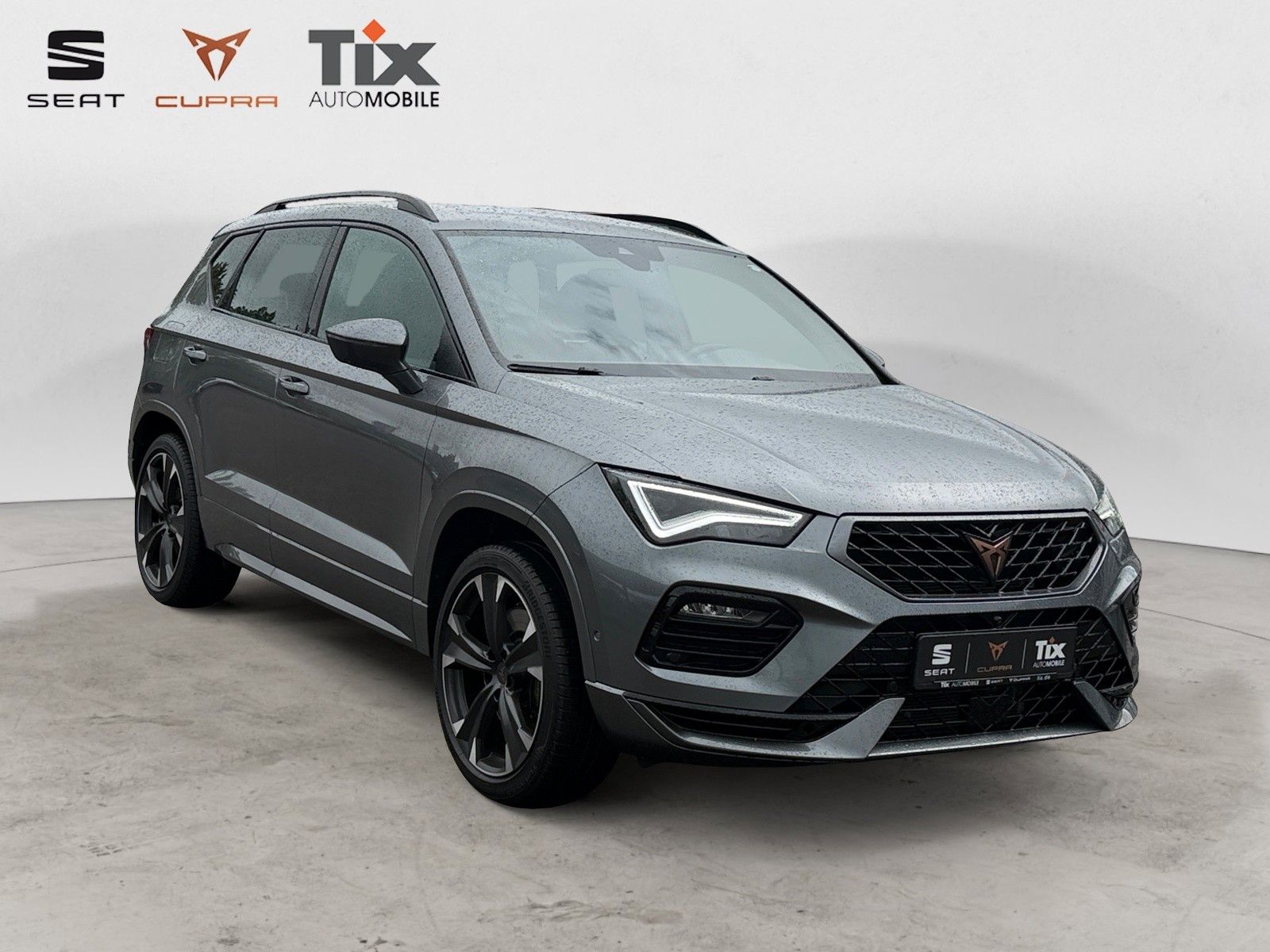 Fahrzeugabbildung CUPRA Ateca 2.0 TSI DSG 4Drive 1.HD/AHK/el.Heckkl/360°
