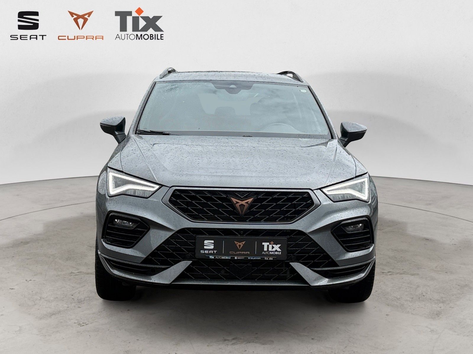 Fahrzeugabbildung CUPRA Ateca 2.0 TSI DSG 4Drive 1.HD/AHK/el.Heckkl/360°