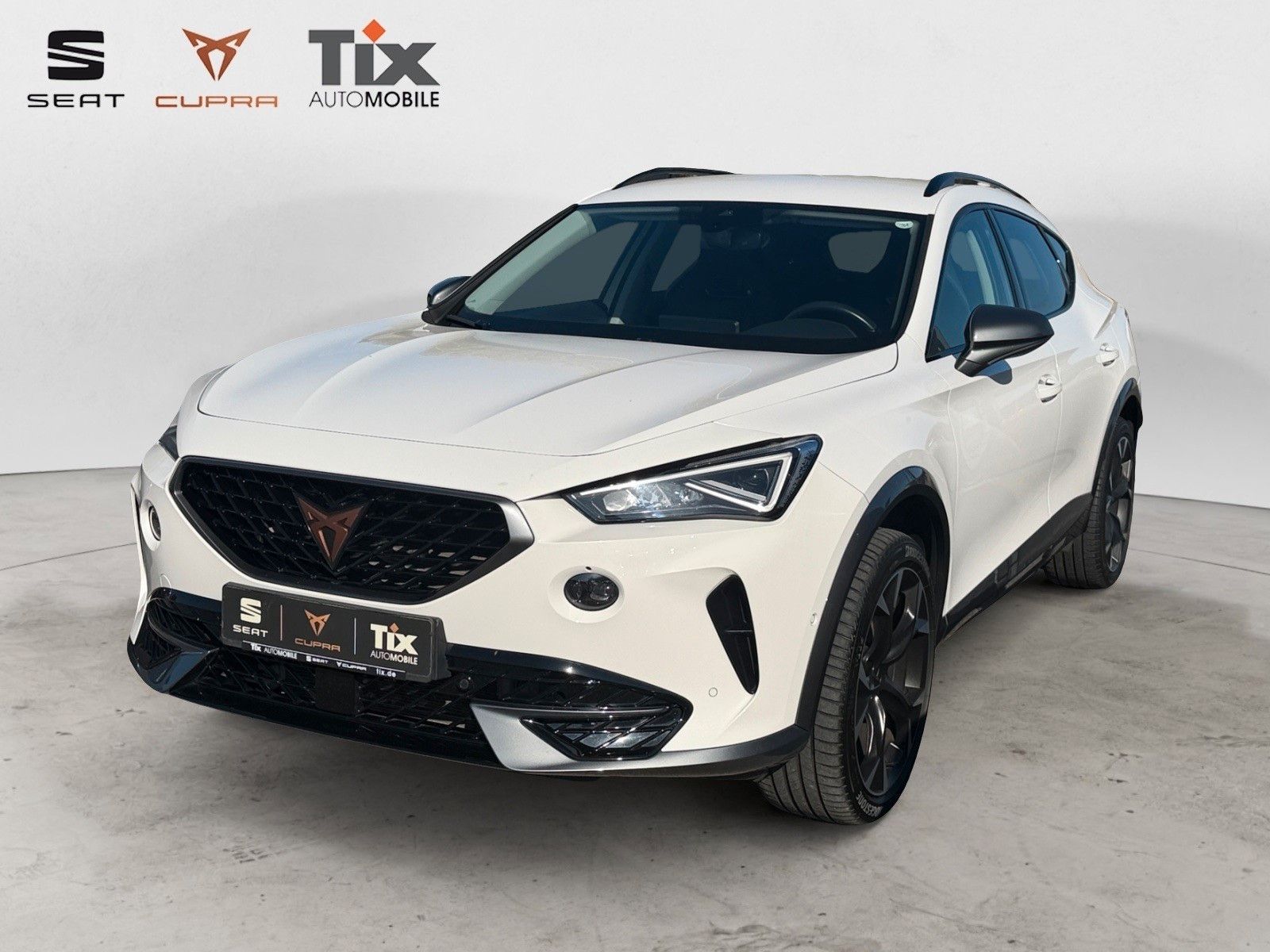 CUPRA Formentor Formentor 2.0 TSI DSG 4Drive 1.HD/Navi/Kamera