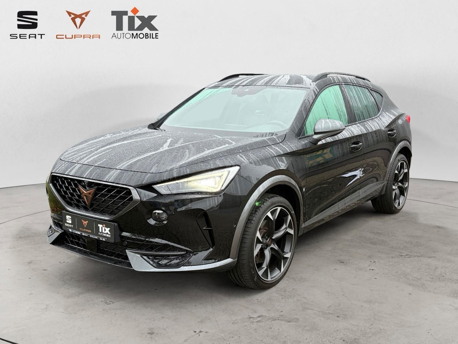 CUPRA Formentor Formentor 2.0 TSI 4Drive Matrix, 360, ACC