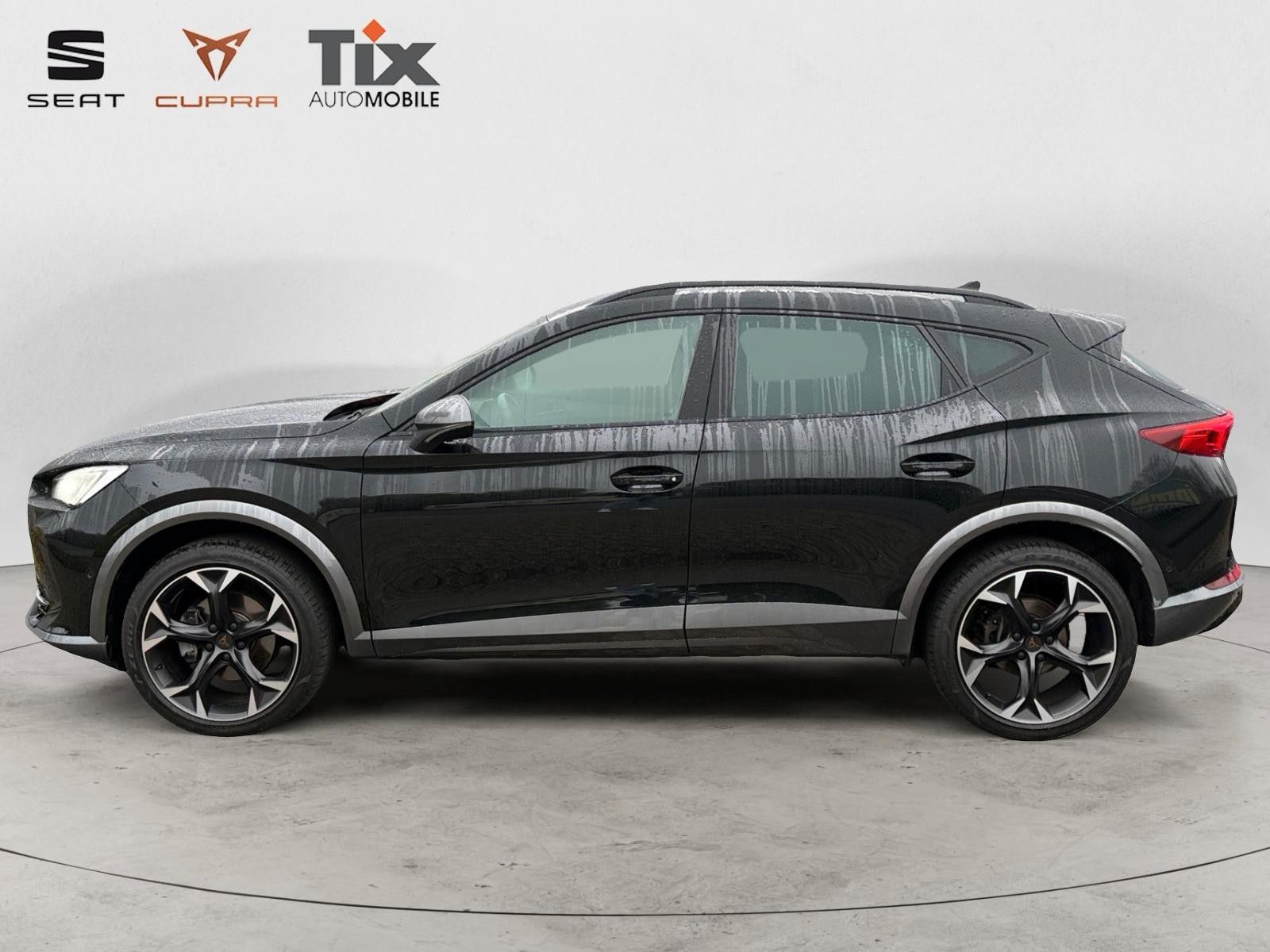Fahrzeugabbildung CUPRA Formentor 2.0 TSI 4Drive Matrix, 360, ACC