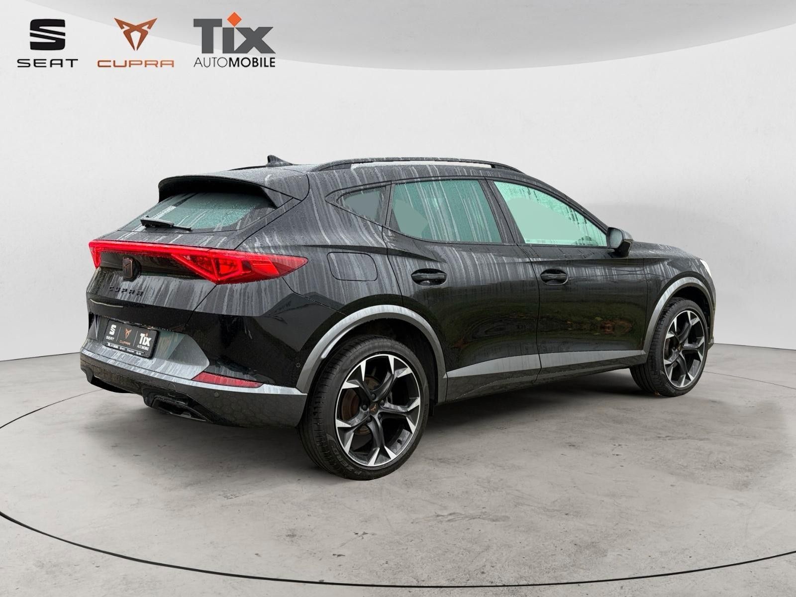 Fahrzeugabbildung CUPRA Formentor 2.0 TSI 4Drive Matrix, 360, ACC