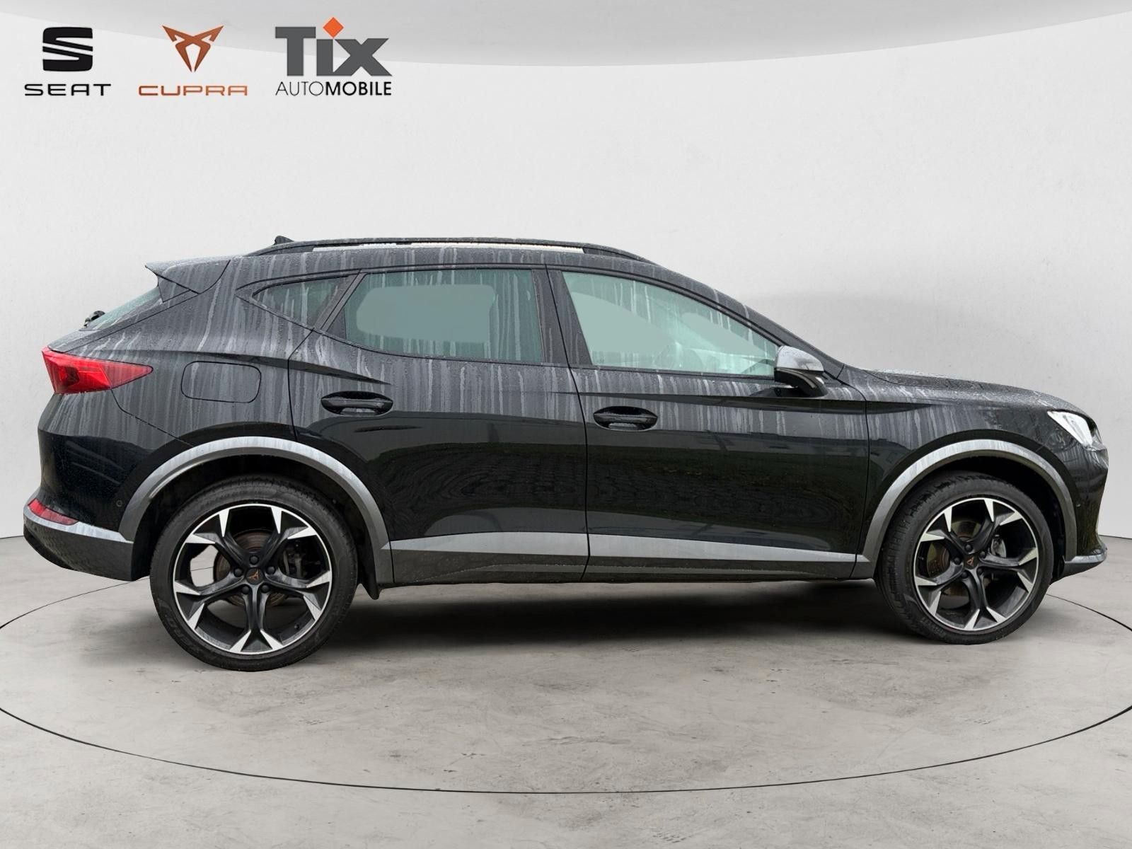 Fahrzeugabbildung CUPRA Formentor 2.0 TSI 4Drive Matrix, 360, ACC