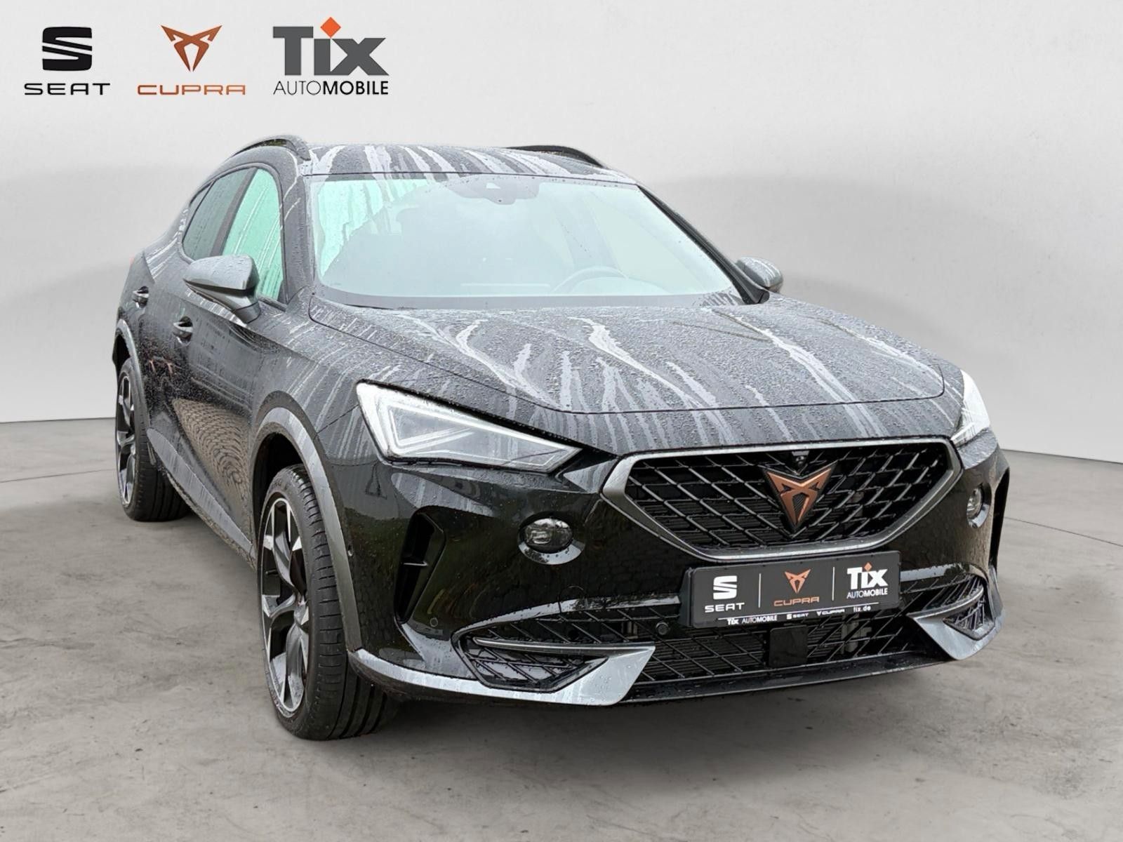 Fahrzeugabbildung CUPRA Formentor 2.0 TSI 4Drive Matrix, 360, ACC