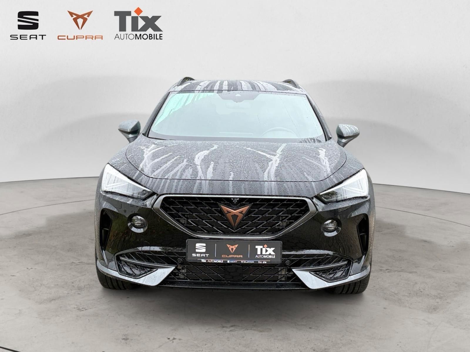 Fahrzeugabbildung CUPRA Formentor 2.0 TSI 4Drive Matrix, 360, ACC