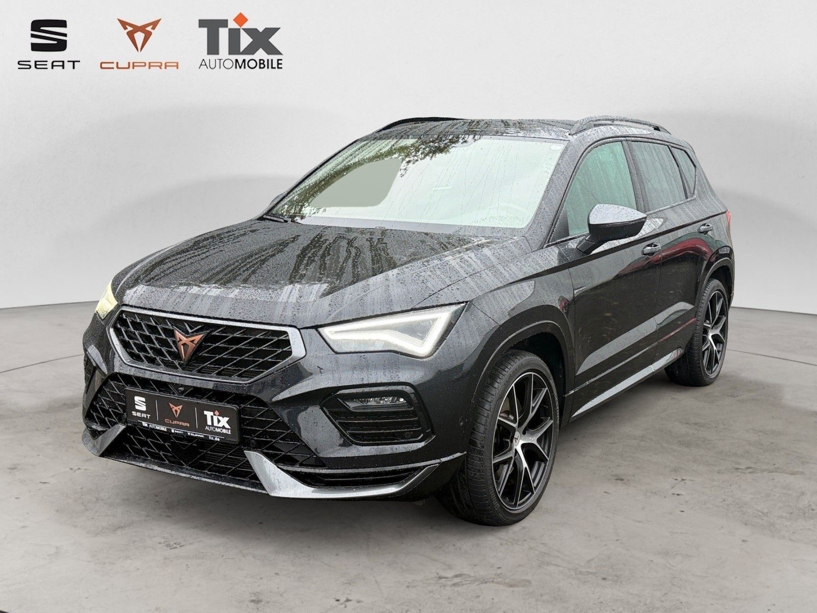 CUPRA Ateca Ateca 2.0 TSI DSG 4Drive 1.HD/AHK/Beats/360°Kame