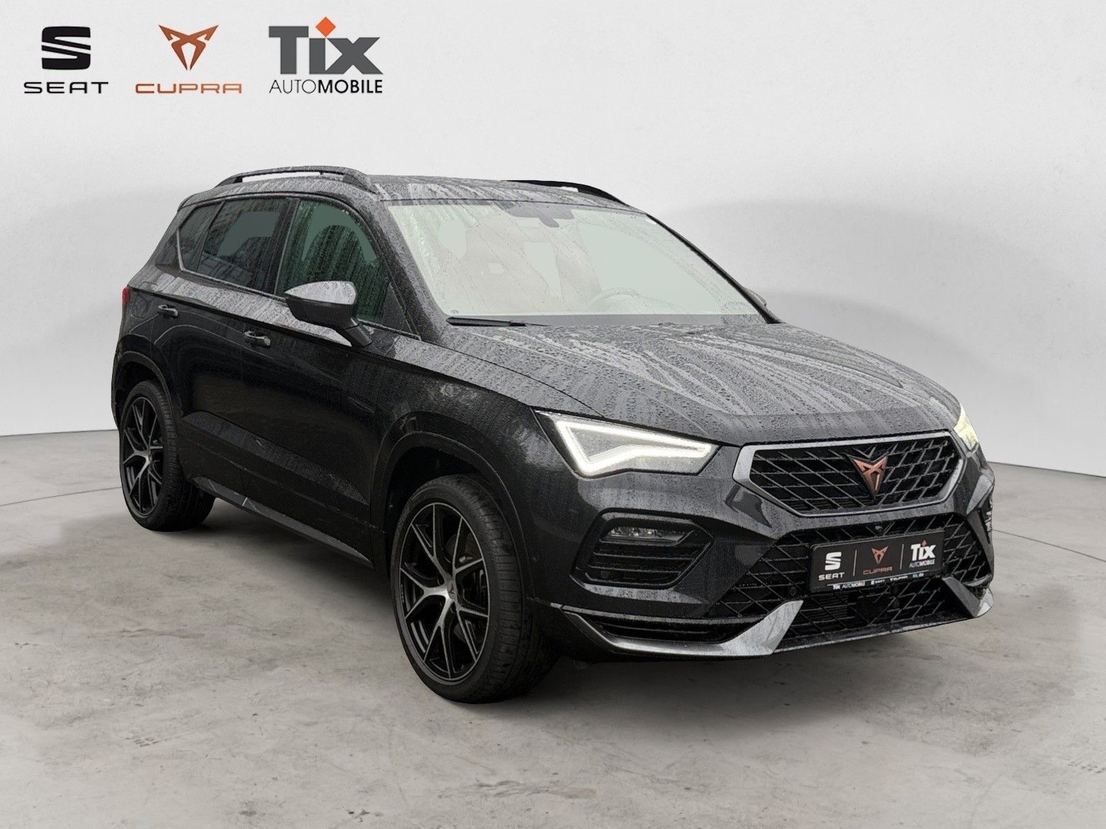 Fahrzeugabbildung CUPRA Ateca 2.0 TSI DSG 4Drive 1.HD/AHK/Beats/360°Kame