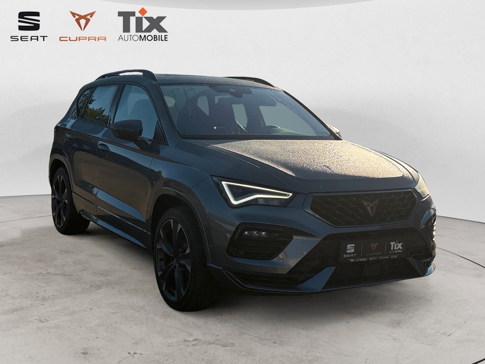 Fahrzeugabbildung CUPRA Ateca 2.0 TSI DSG 4Drive 1.HD/AHK/Pano/Beats
