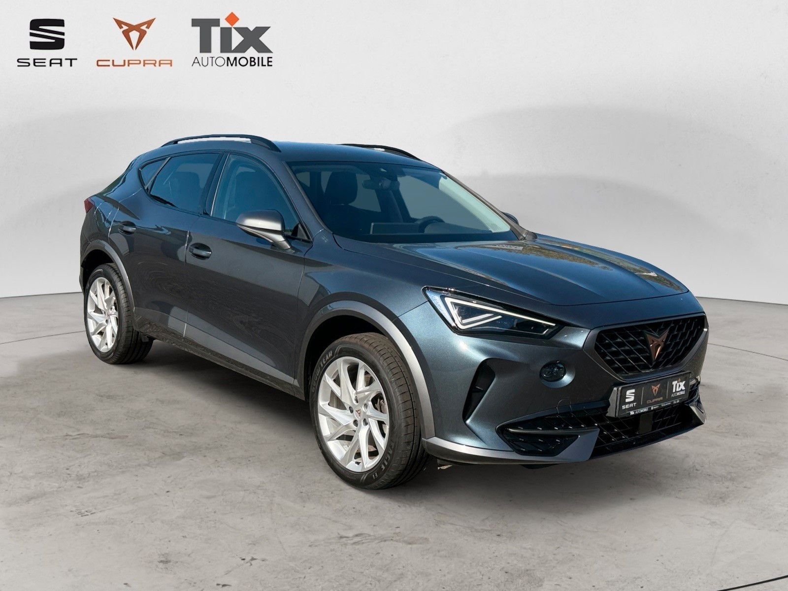Fahrzeugabbildung CUPRA Formentor 1.5 TSI DSG 1.HD/el.Heckklappe/Navi
