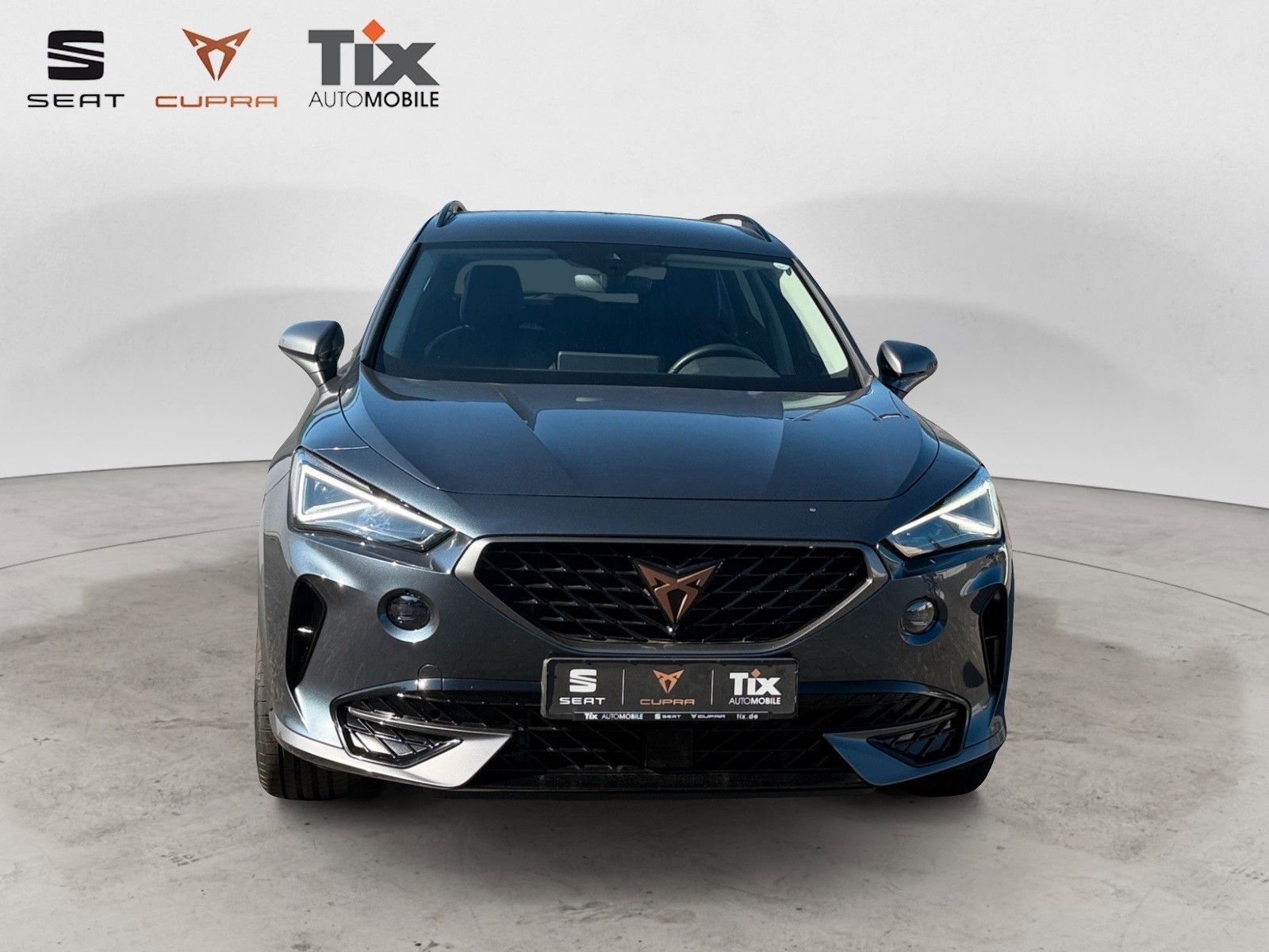 Fahrzeugabbildung CUPRA Formentor 1.5 TSI DSG 1.HD/el.Heckklappe/Navi