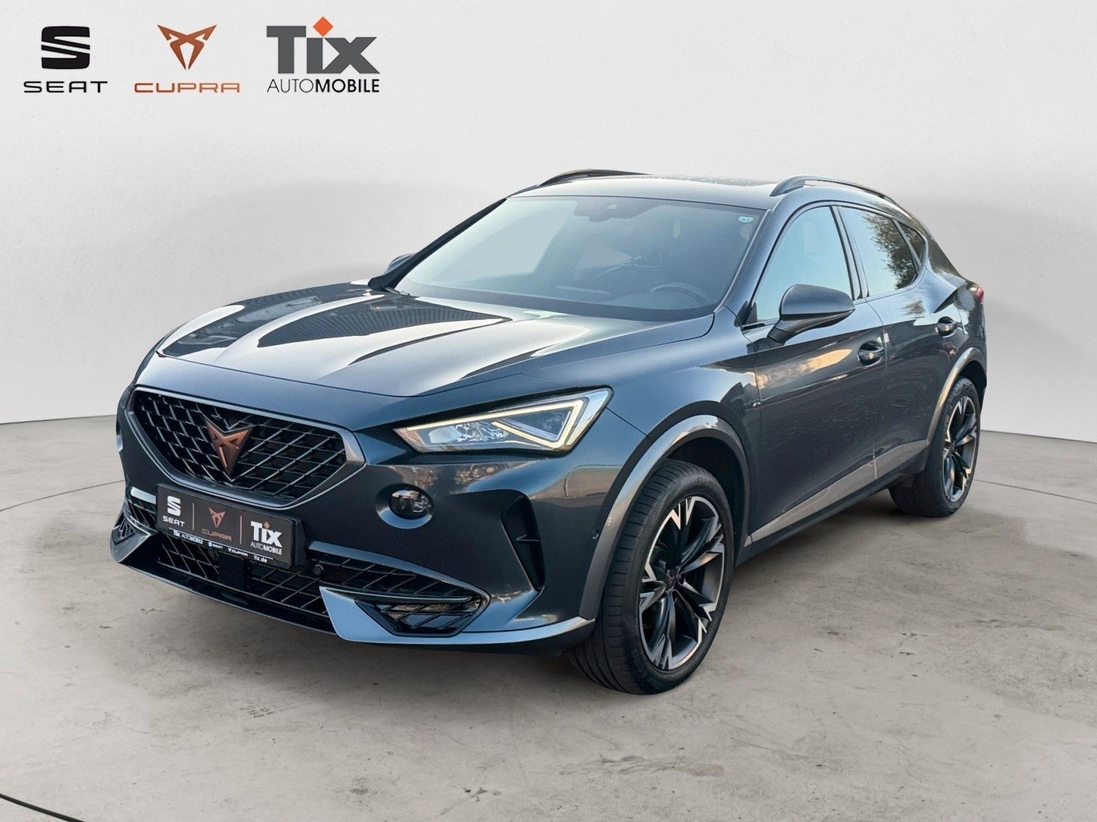 CUPRA Formentor Formentor 1.5 TSI DSG Navi/Kamera/ACC/230VSteckd