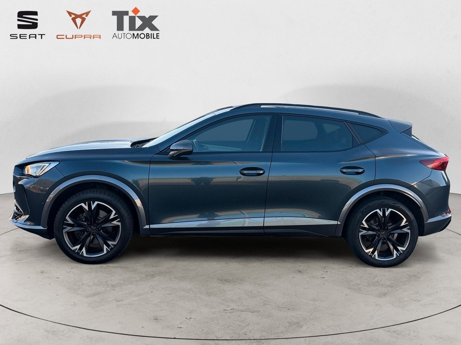 Fahrzeugabbildung CUPRA Formentor 1.5 TSI DSG Navi/Kamera/ACC/230VSteckd