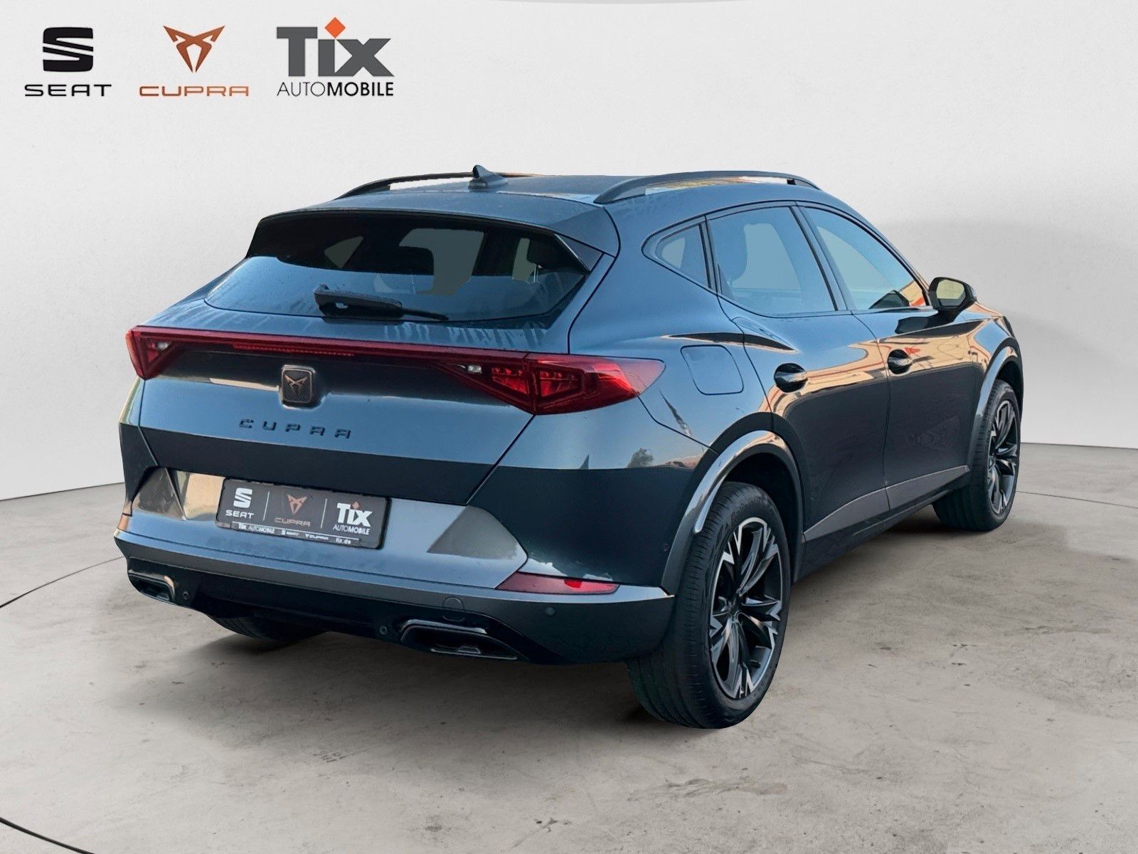Fahrzeugabbildung CUPRA Formentor 1.5 TSI DSG Navi/Kamera/ACC/230VSteckd