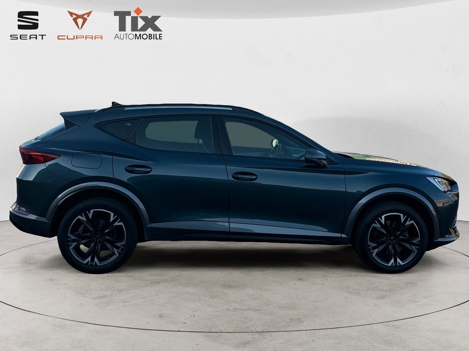 Fahrzeugabbildung CUPRA Formentor 1.5 TSI DSG Navi/Kamera/ACC/230VSteckd