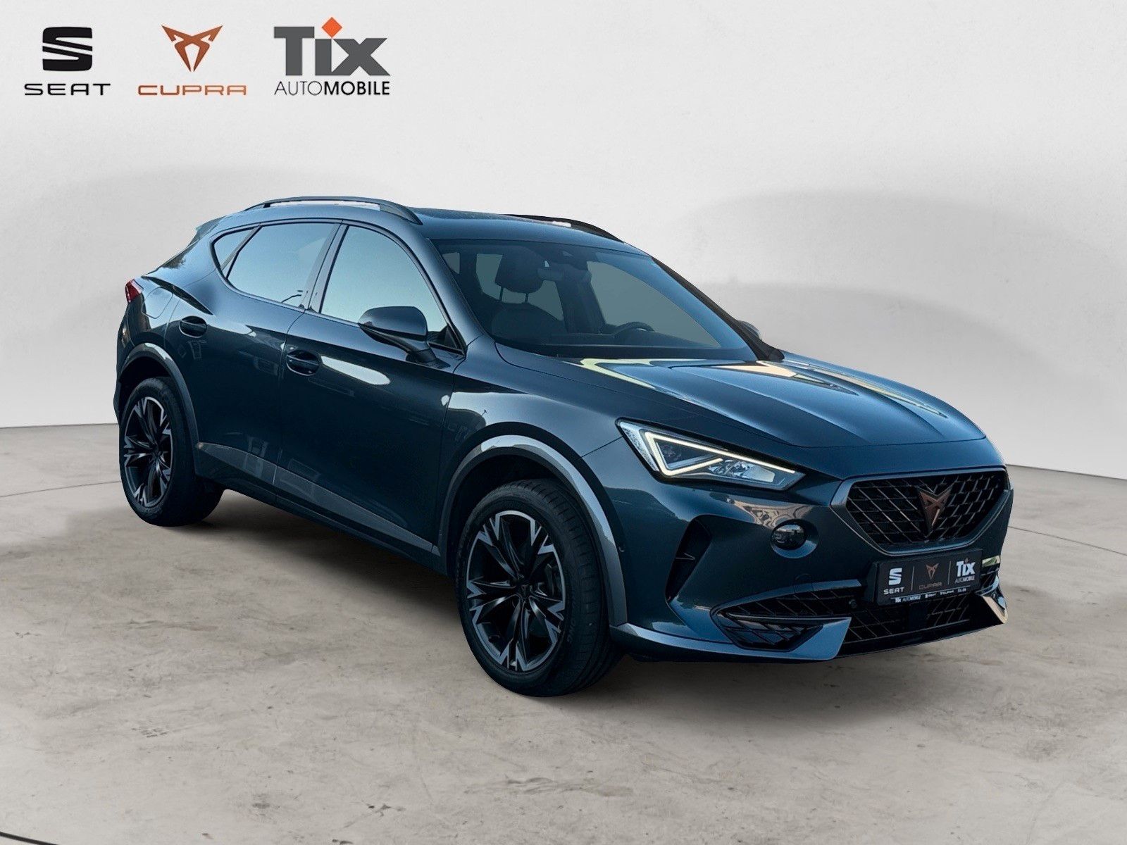 Fahrzeugabbildung CUPRA Formentor 1.5 TSI DSG Navi/Kamera/ACC/230VSteckd
