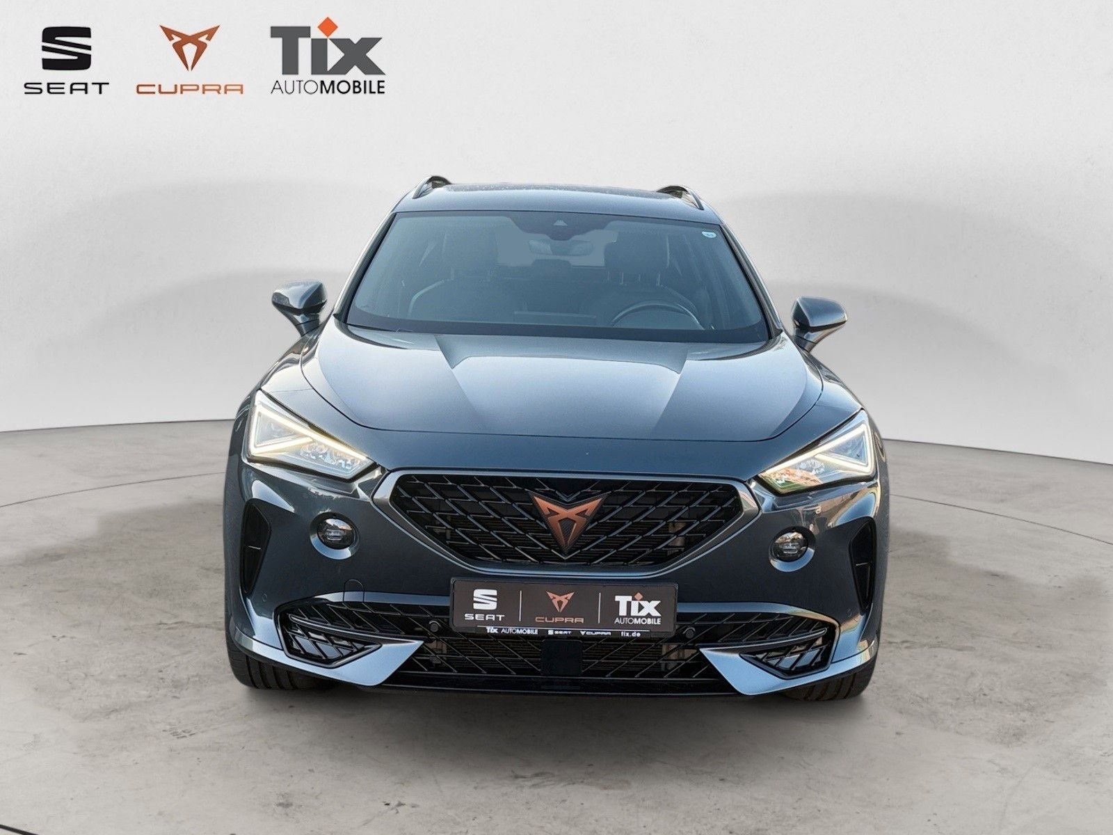 Fahrzeugabbildung CUPRA Formentor 1.5 TSI DSG Navi/Kamera/ACC/230VSteckd