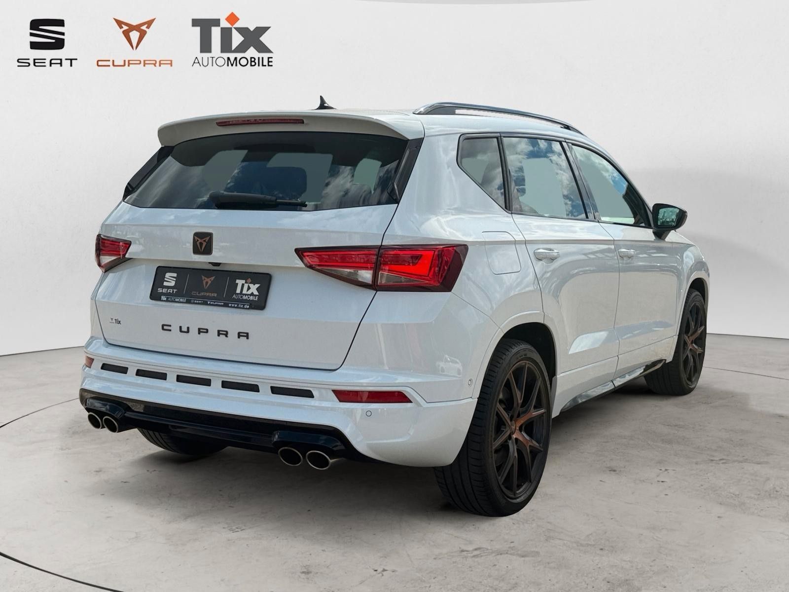 Fahrzeugabbildung CUPRA Ateca 2.0 TSI DSG 4Drive Pano/Beats/360°/Navi