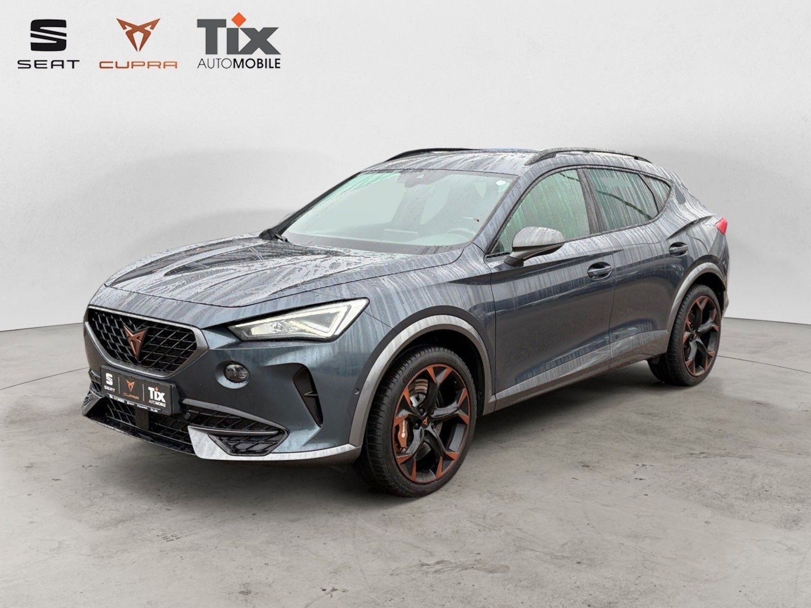 CUPRA Formentor VZ 2.0 TSI DSG 4Drive Beats/Brembo/Kam