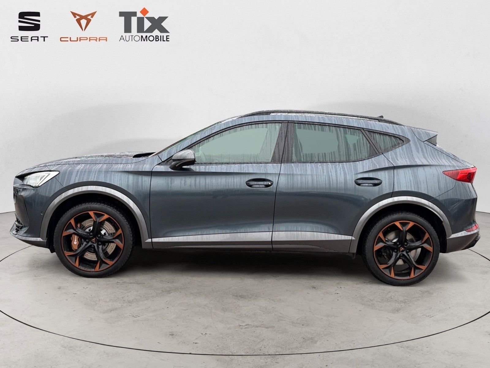 Fahrzeugabbildung CUPRA Formentor VZ 2.0 TSI DSG 4Drive Beats/Brembo/Kam